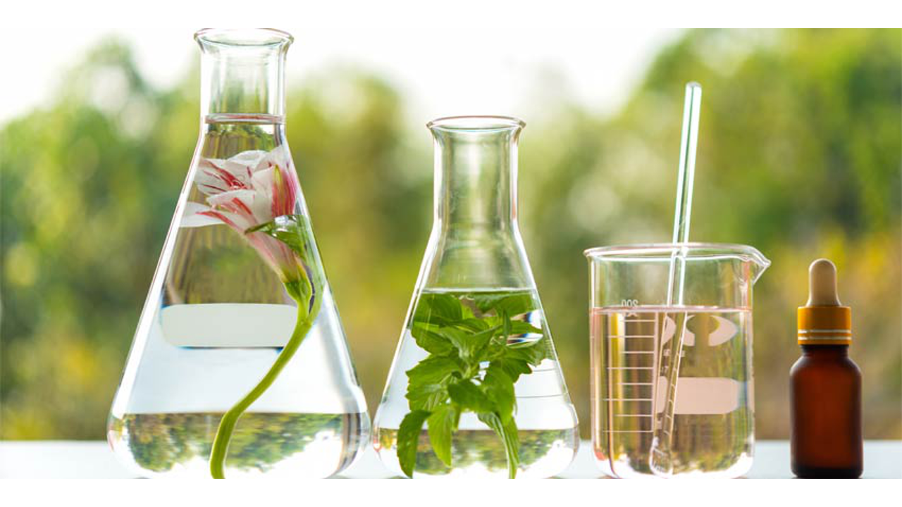 How Phytochemicals Benefit The Human Body