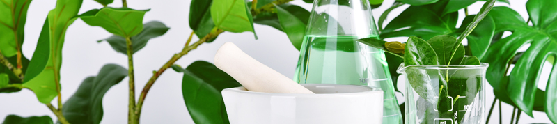 phytonutrients-are-extracted-from-plants phytonutrients-are-extracted-from-plants