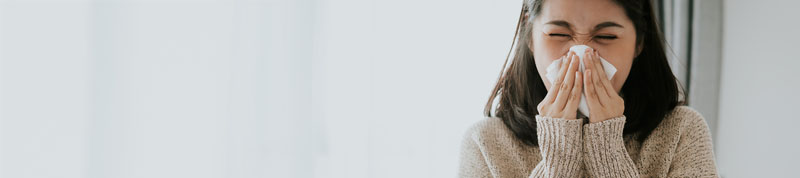 influenza and the antiviral health benefits of epicatechin