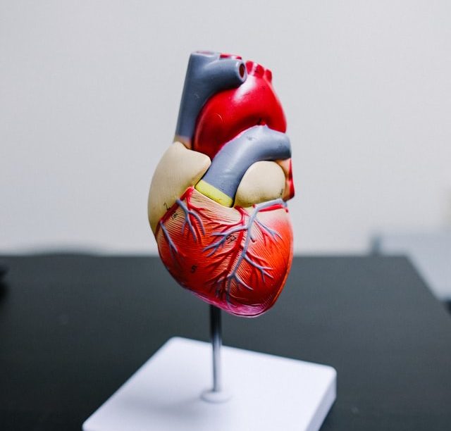 What is the Best Natural Cholesterol-Lowering Supplement?