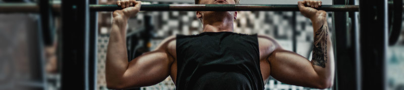 muscle building benefits of epicatechin are popular among bodybuilders