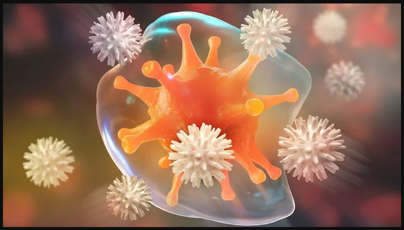 white blood cells or leukocytes are our basic line of defense against disease