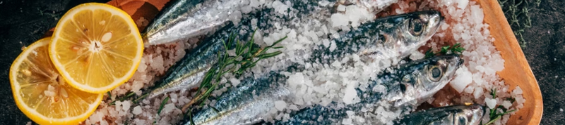 fish is a rich source of omega-3 fatty acids