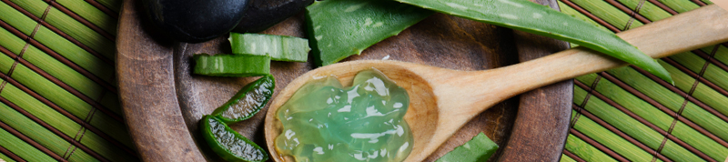 aloe-vera-for-skin-health aloe vera is one of commonly used botanicals for skin health