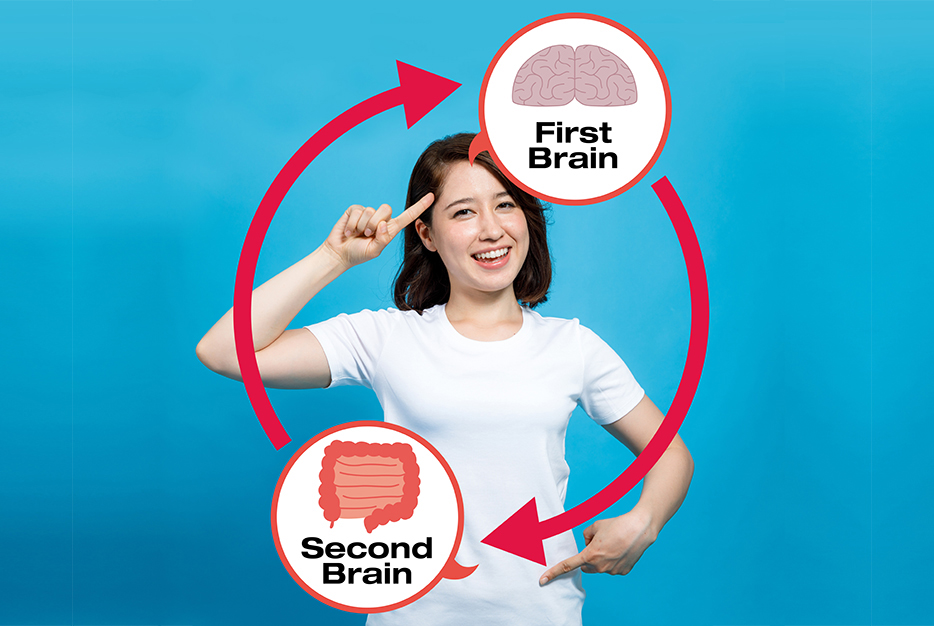 because of the enteric nervous system, the gut can be considered our second brain