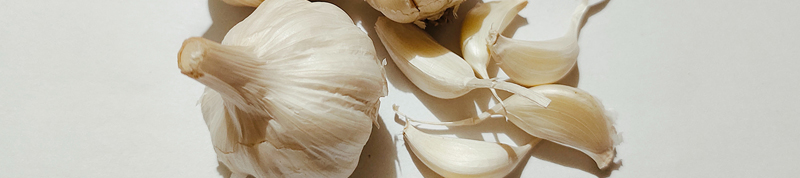 garlic and its active compound allicin have anti inflammatory and anti bacterial properties